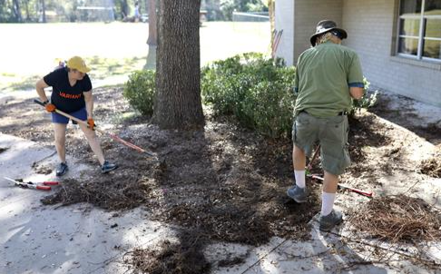 Two community members laying mulch around a tree during a beautification event.